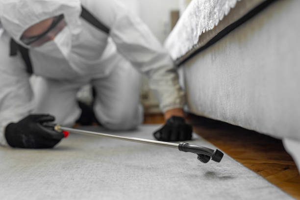 Professional Bed Bug Control technician working in Rich County County, UT